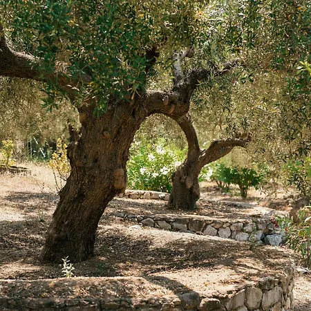 Dom wakacyjny Nora *