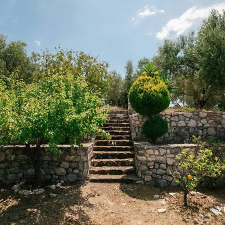 Dom wakacyjny Nora *